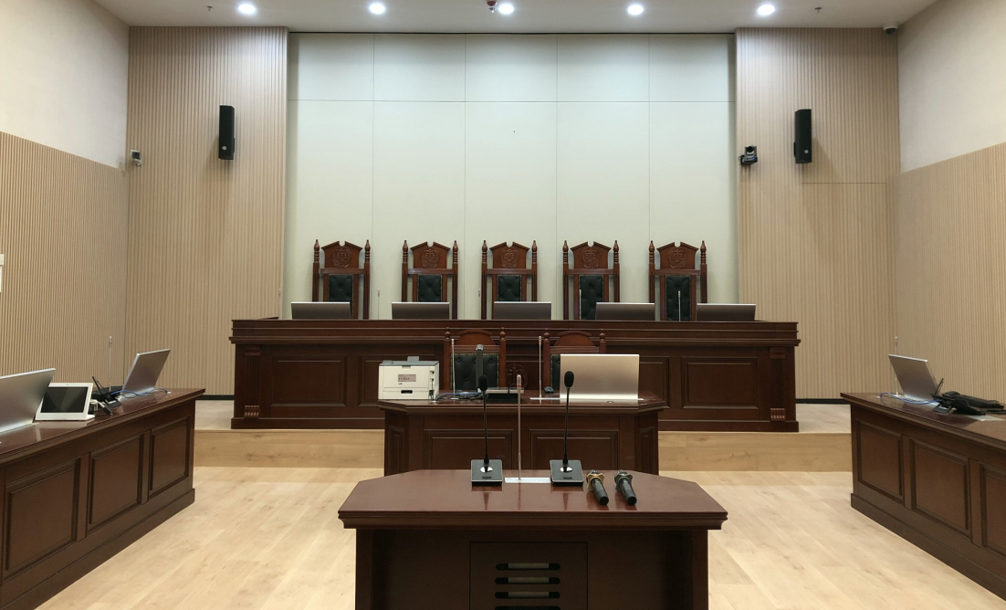 湖北省某某市知识产权保护中心融合审理系统